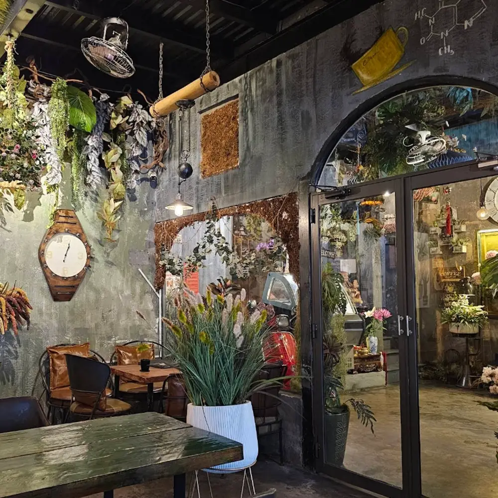 Jungle Coffee — кафе в артистическом стиле
